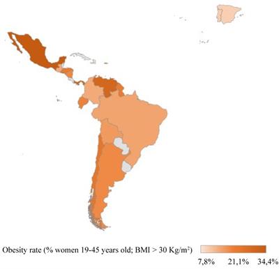 Antioxidants and Oxidative Stress: Focus in Obese Pregnancies